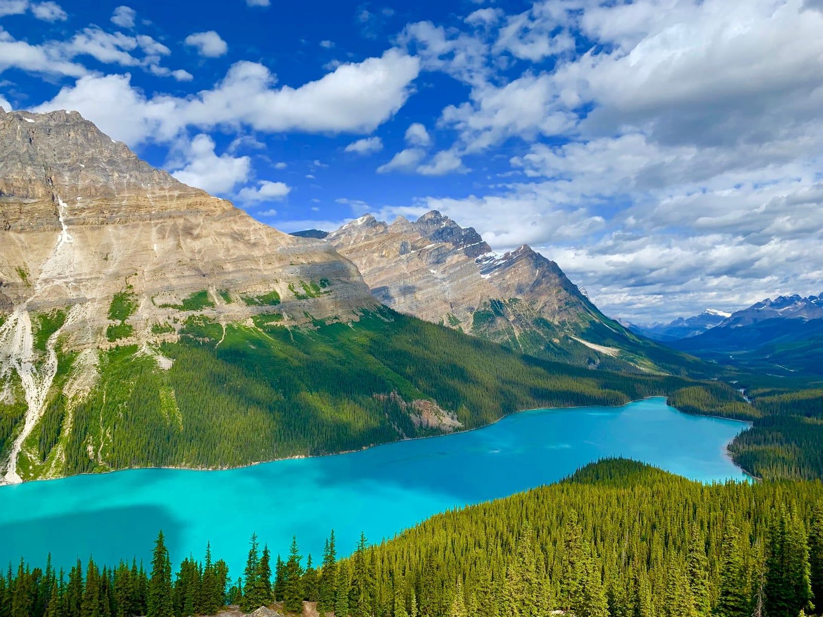 Eaux turquoise du lac Peyto entourées de montagnes accidentées et de forêts de conifères dans le parc national de Banff.