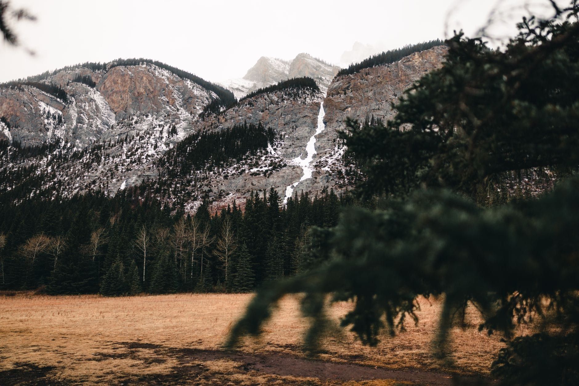 Snow-dusted rocky mountains rise behind evergreen forests and an open meadow in Banff National Park.