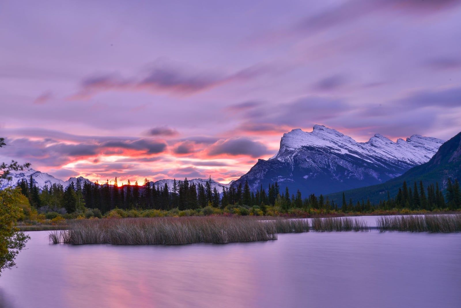 El monte Rundle, cubierto de nieve, se alza más allá de las tranquilas aguas y la hierba de los pantanos de los lagos Vermilion, en el Parque Nacional de Banff, al amanecer.