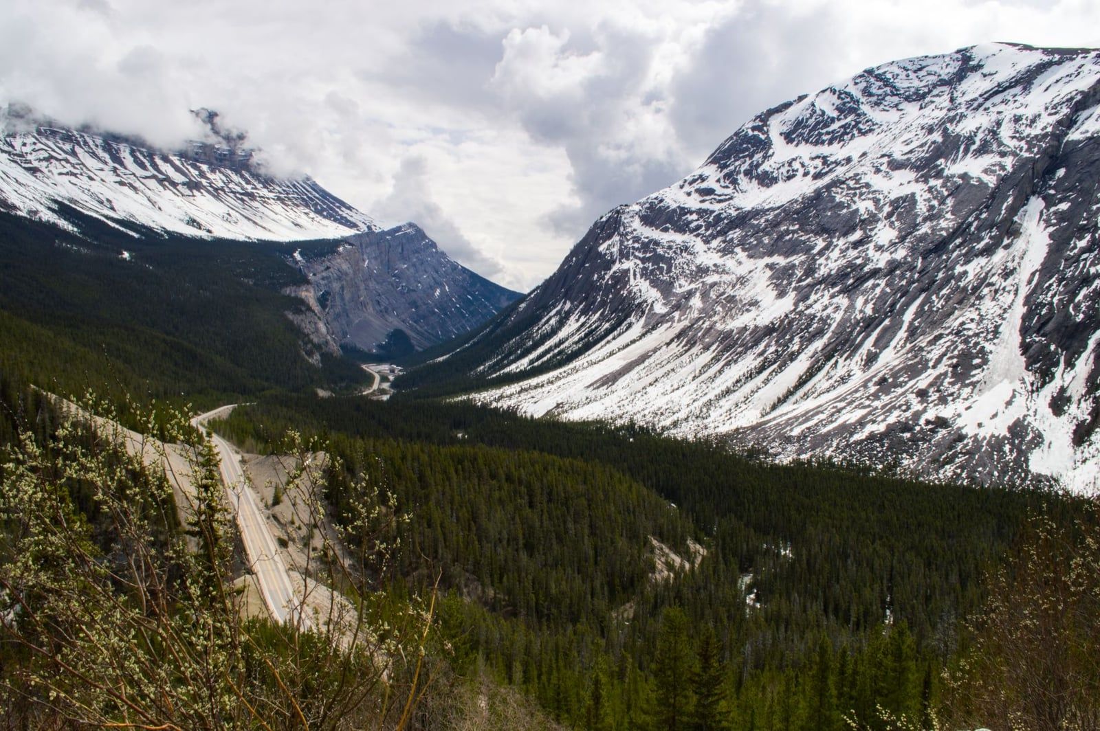 Der Icefields Parkway schlängelt sich durch ein Nadelwaldtal, flankiert von steilen, schneebedeckten Bergen, die zum Banff National Park führen.