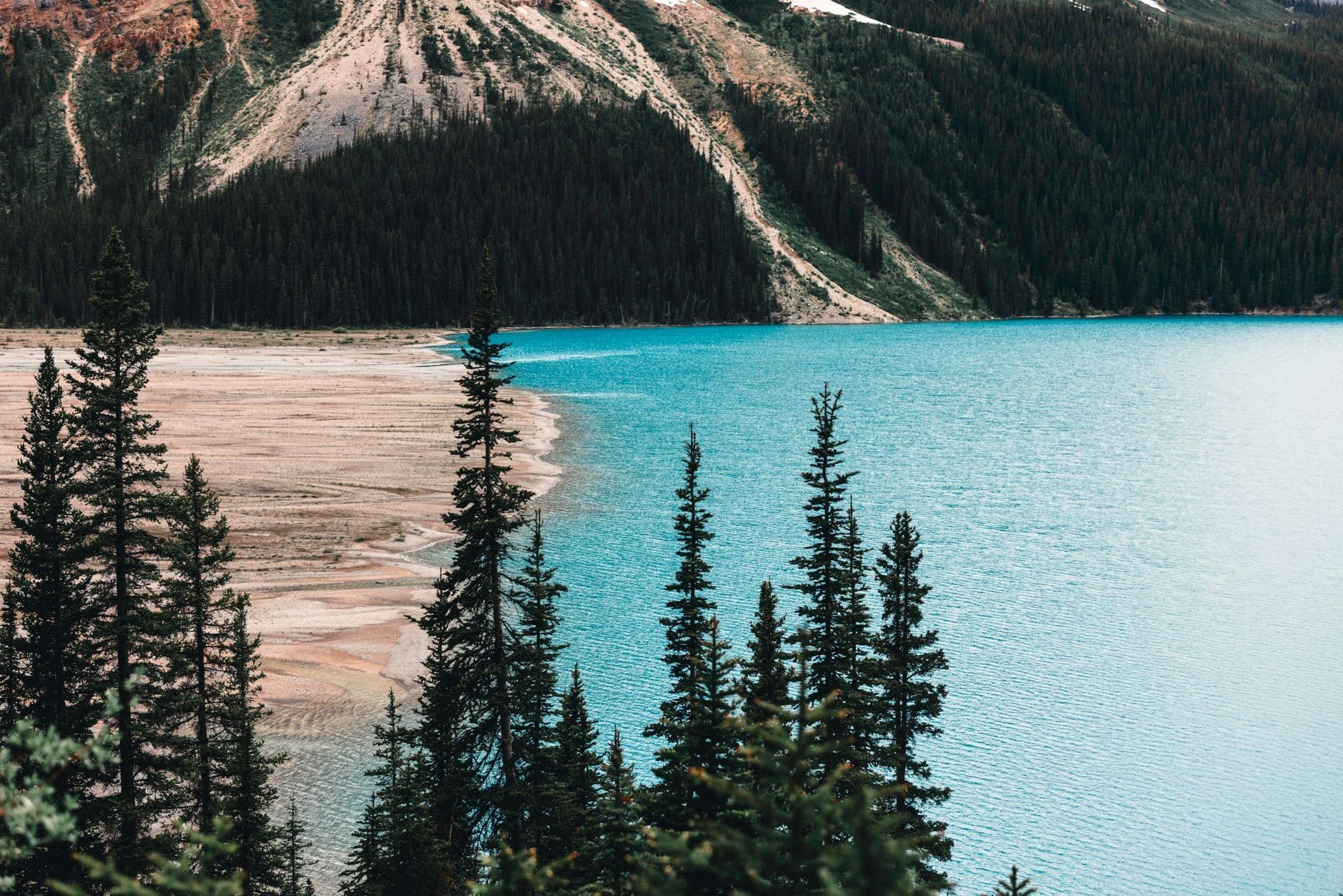 Vibrant turquoise waters of a glacial lake bordered by evergreen forest and mountains in Banff National Park.