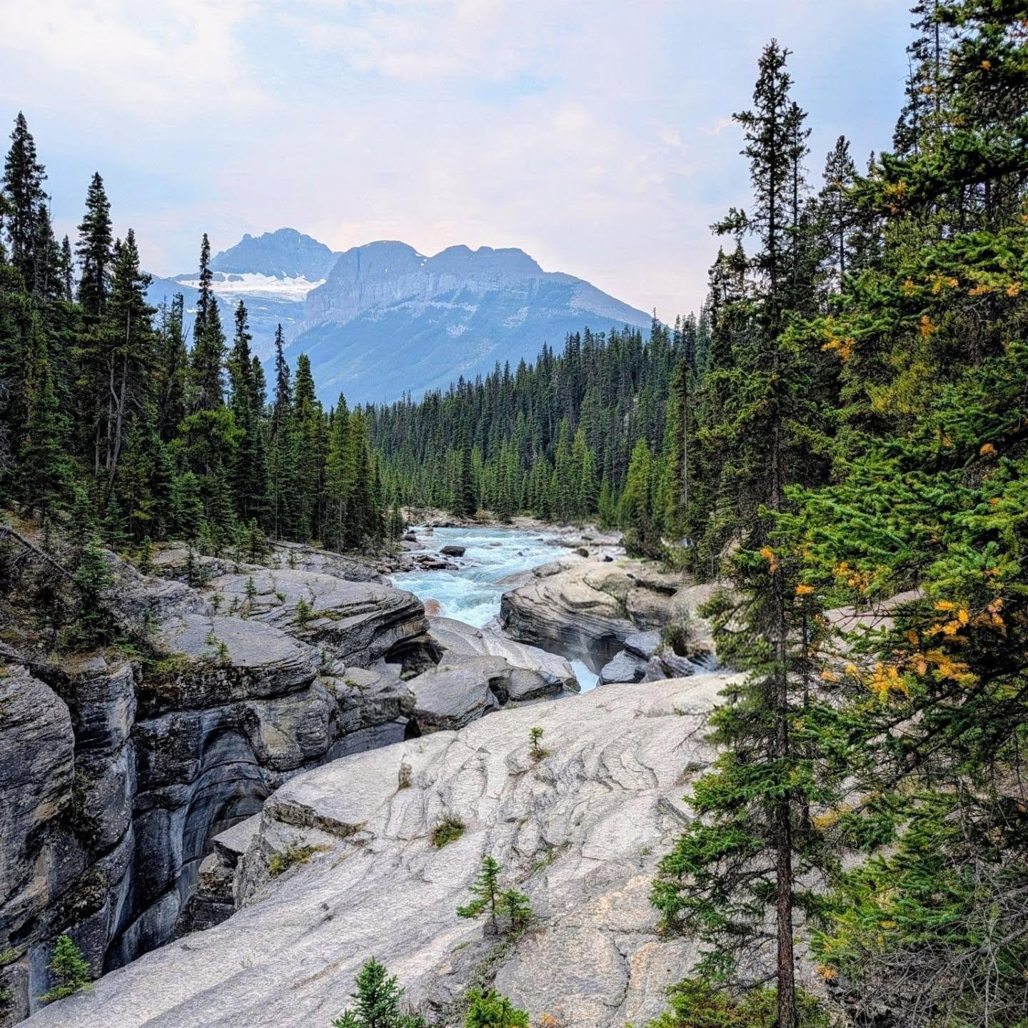 Vue de Parc national Banff